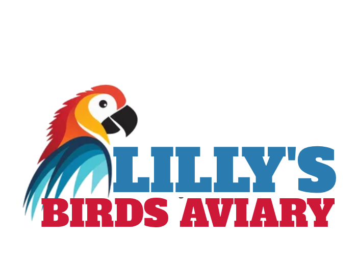 lillys birds aviary